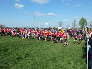 mk体育平台官网-体育新闻中心参与制定青少年体育内容发布规范，青少年体育刊物