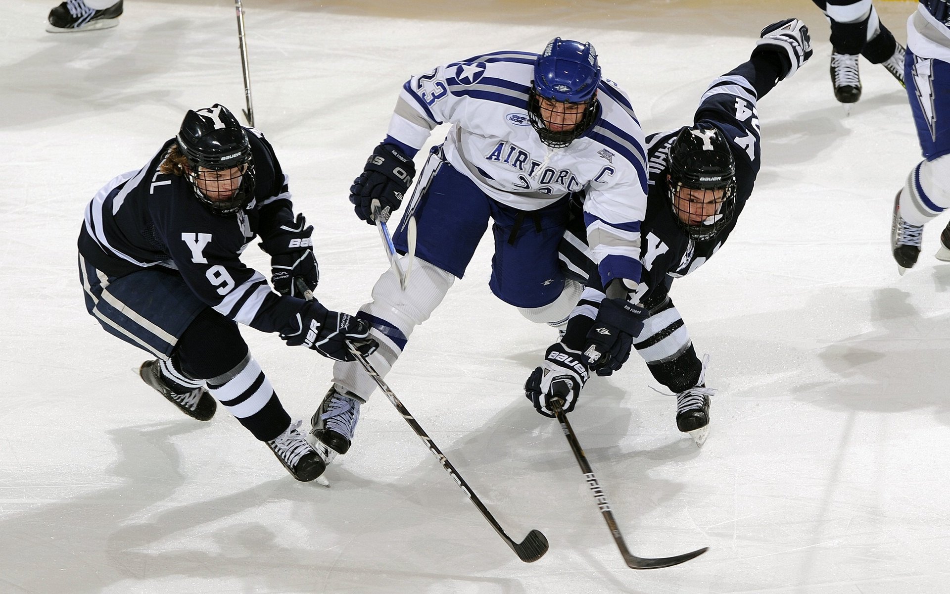 自由搏击赛事规模和水平提升,自由搏击国际比赛叫什么